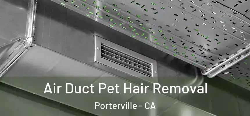  Air Duct Pet Hair Removal Porterville - CA