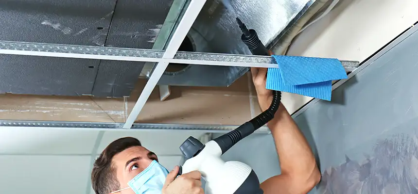 Our Air Duct Rodent Removal Services in Porterville, CA