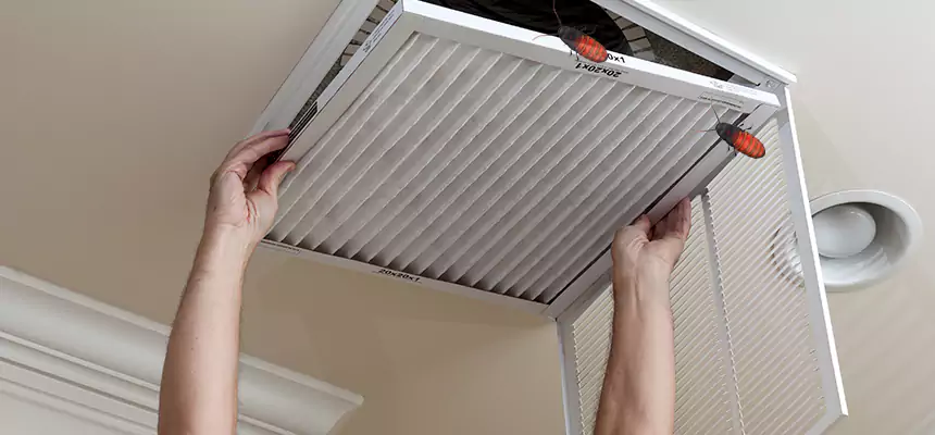 Our Insect Removal from Air Ducts Services in Porterville, CA