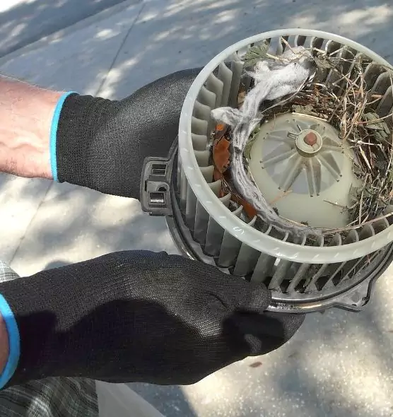 About Air Duct Rat Removal in Porterville, CA